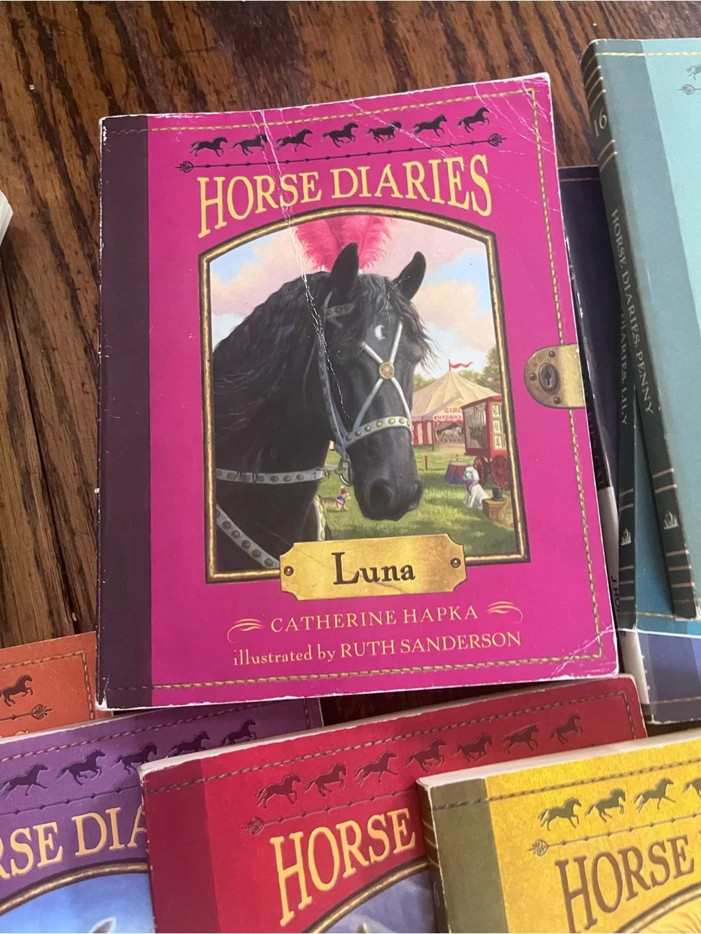 Horse Classic Multicolor Horse Diaries Decorative Book Set - Whitney Sanderson